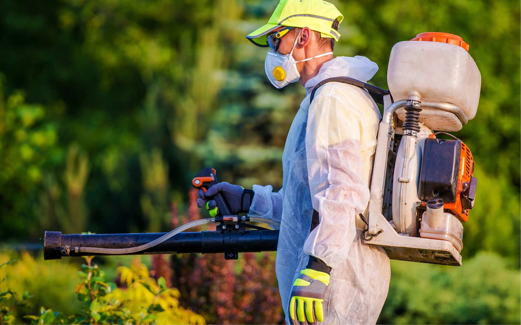 Pest control services